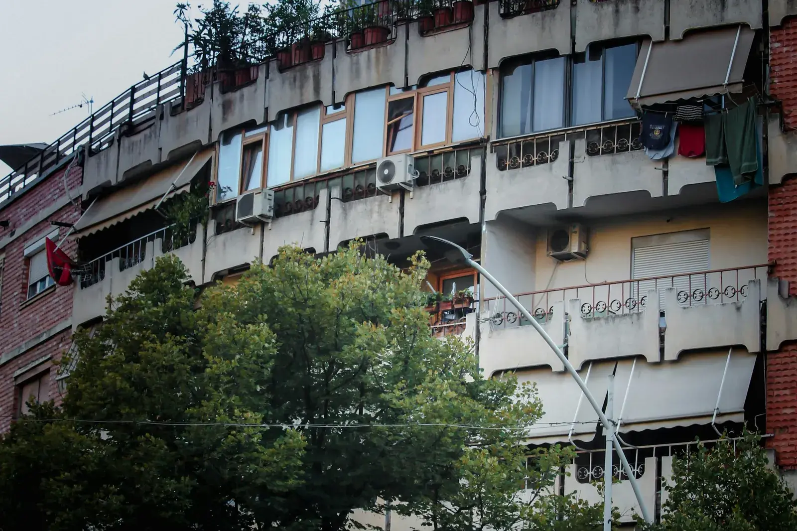 Pallat i vjetër banimi me ballkone dhe pemë përpara, në një lagje të Tiranës