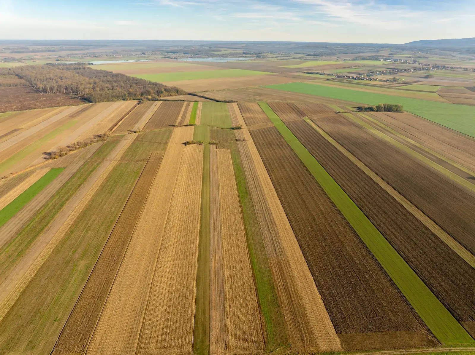 Long strips of farmland seen from above