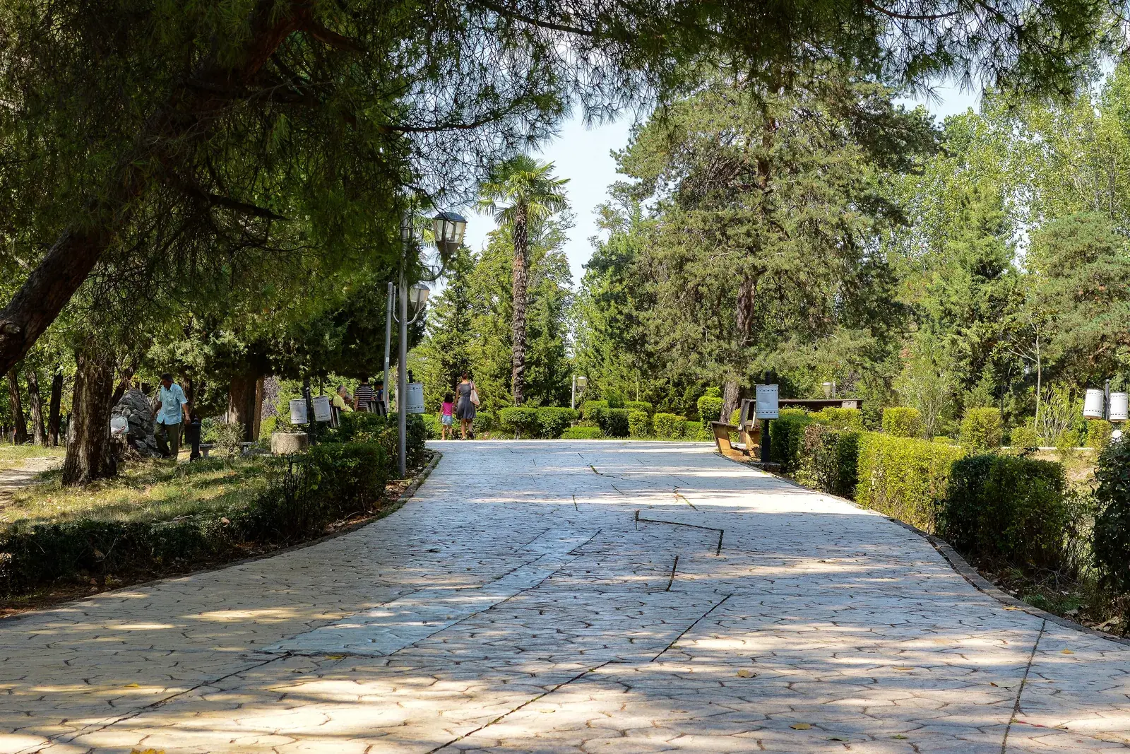 Shëtitore me pisha në Parkun e Madh të Tiranës, në lindje të Komunës së Parisit