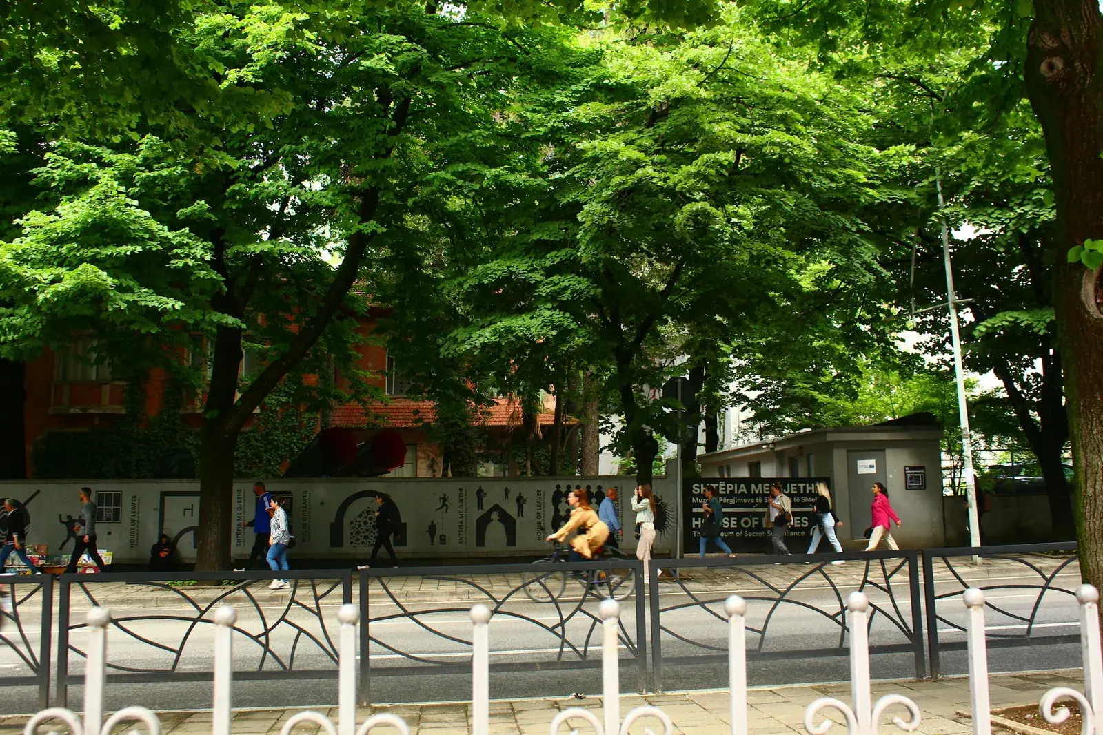Pedoni e ciclisti in una strada alberata nel centro di Tirana