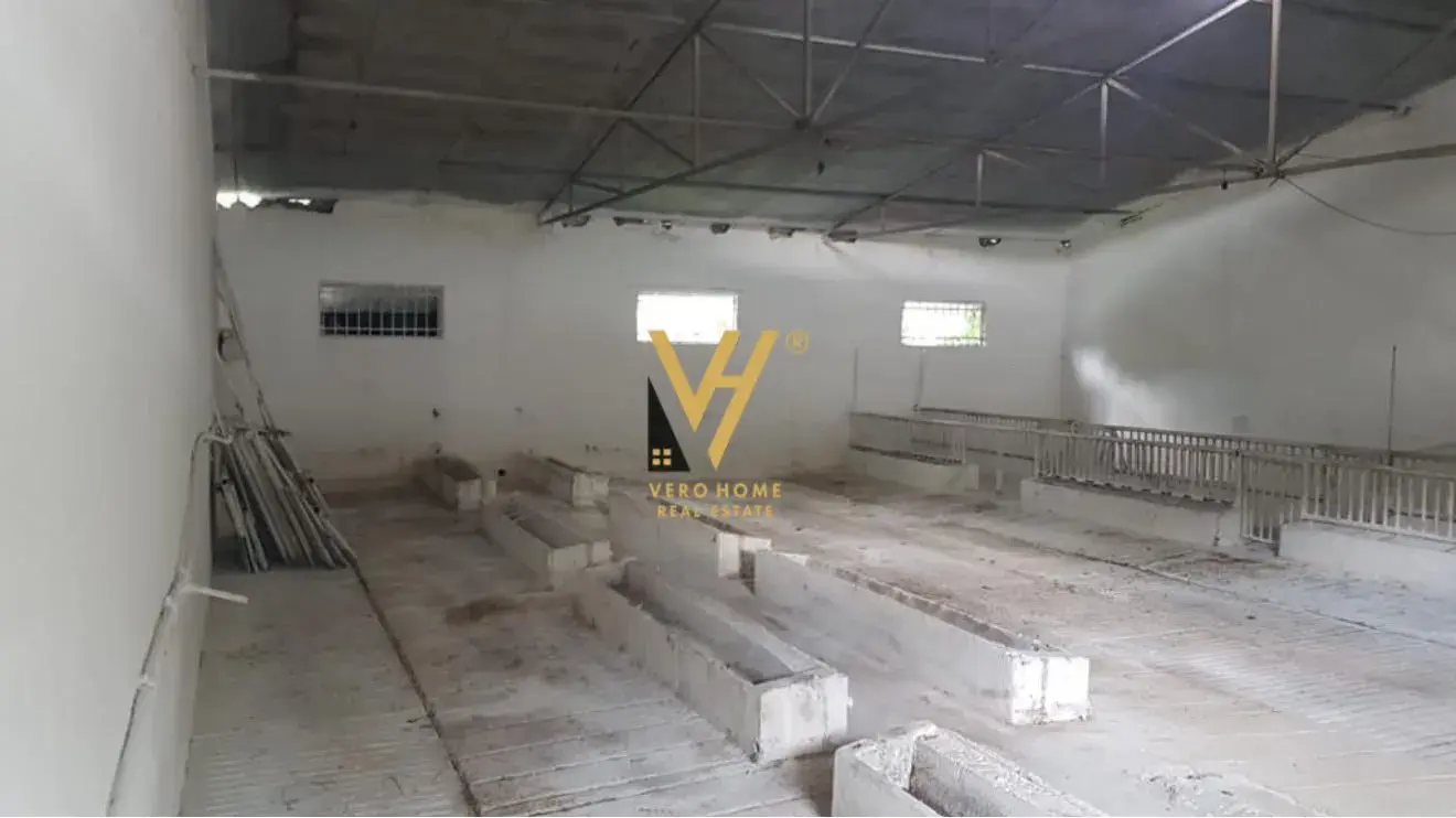 Intérieur, entrepôt 1 400 m² à vendre à Tirana