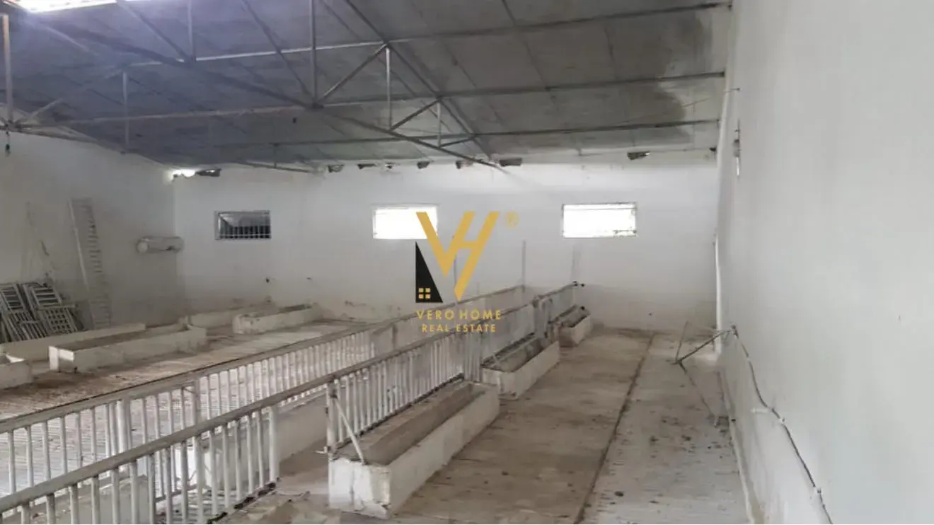 Intérieur, entrepôt 1 400 m² à vendre à Tirana