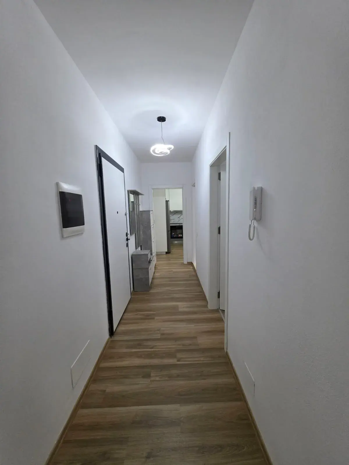 Living room, 2+1 apartment for rent in Tirana
