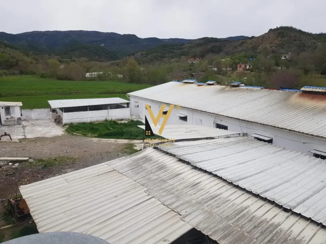 Pamje e jashtme, magazinë 1 400 m² me qira në Tiranë