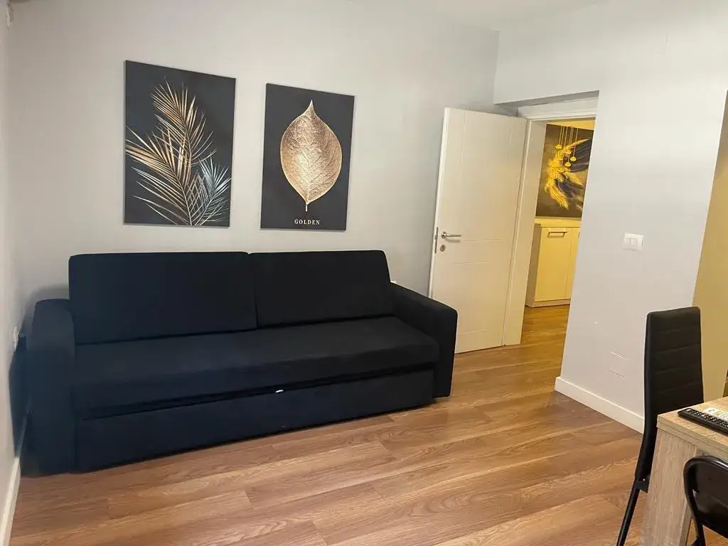 Living room, 1+1 apartment for rent in Tirana, 63 m²