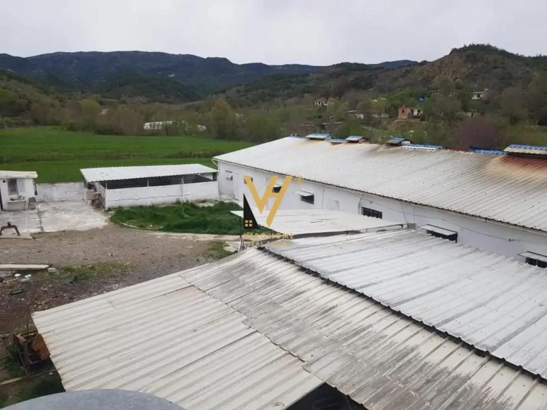 Pamje e jashtme, magazinë 1,400 m² me qira në Tiranë