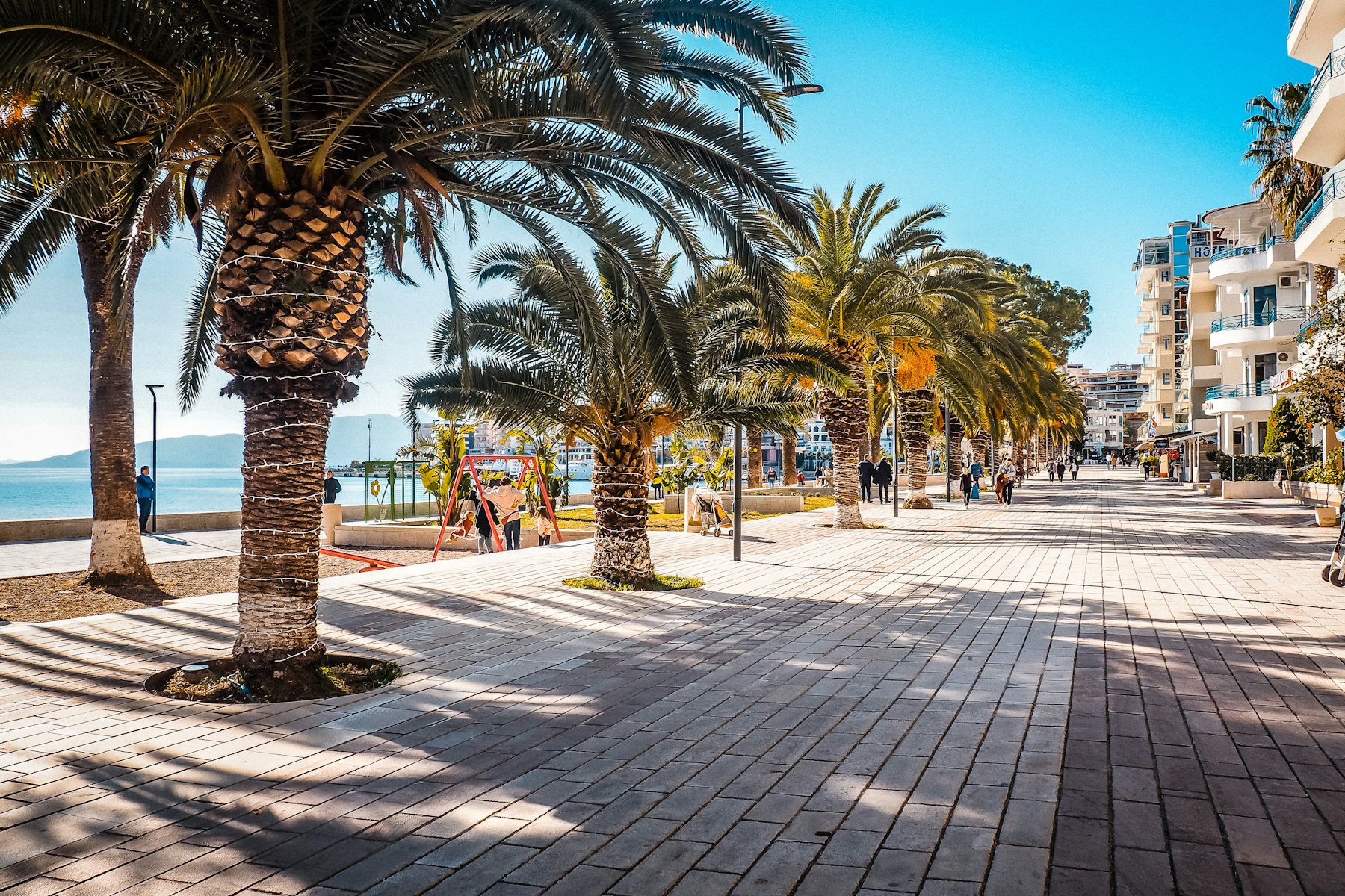 a palm tree lined street next to the ocean